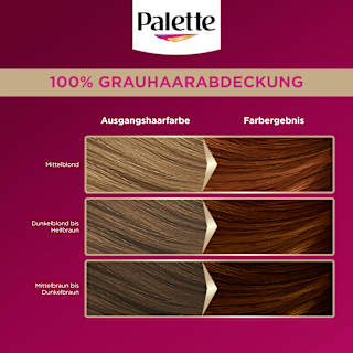 Haarfarbe 6-70 Kupfer Mahagoni Palette Intensive Color Creme