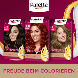 Haarfarbe 6-88 Rubinrot Palette Intensive Color Creme