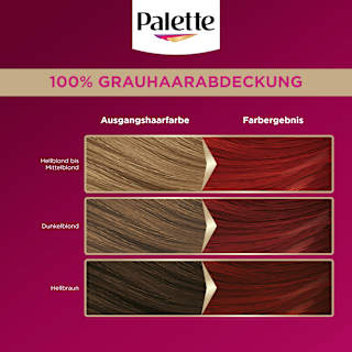 Haarfarbe 6-88 Rubinrot Palette Intensive Color Creme