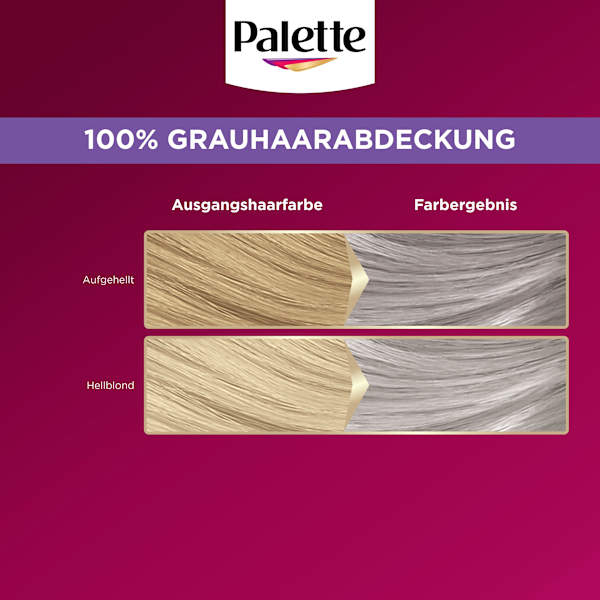 Haarfarbe U71 Kühles Silbergrau Palette Intensive Color Creme