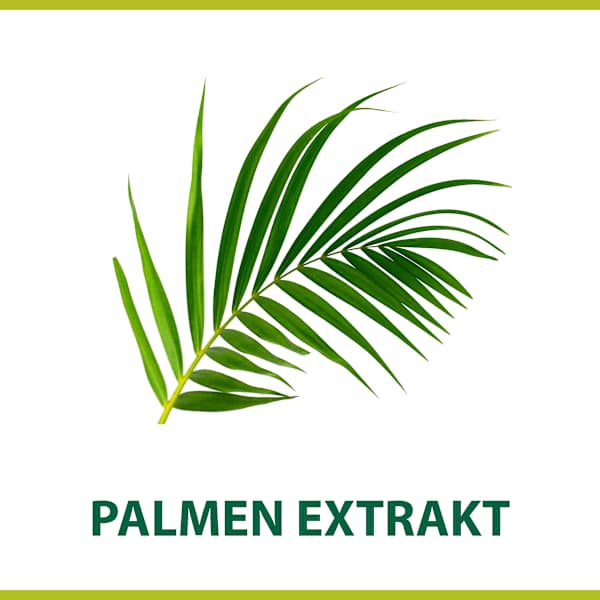 Rasierschaum Classic Palmolive