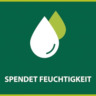 Seifenstück Milch & Honig, Naturals  Palmolive