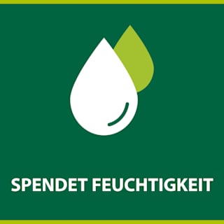 Seifenstück Olive & Milch, Naturals Palmolive