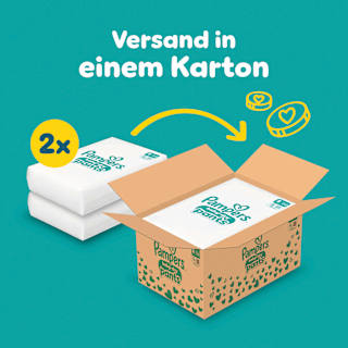 Baby Pants Gr. 5 Junior (11-17 kg) Monatsbox Pampers baby-dry