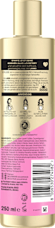 Shampoo LOVE Edition Repair & Care PANTENE PRO-V