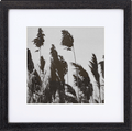 Rahmen Solo 30x30 cm schwarz Paradies