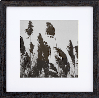 Rahmen Solo 30x30 cm schwarz Paradies