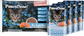 Nassfutter Katze Kitten, Lachs in Sauce, Junior Multipack (4x85 g) Pawsome