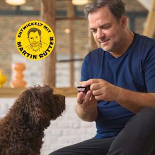 Hundeshampoo Kurzhaar Petchen