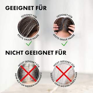 Conditioner Anti-Grau Effekt Plantur 39