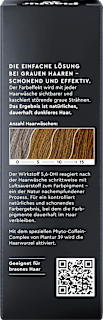Shampoo Anti-Grau Effekt, warme Töne Plantur 39
