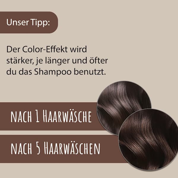 Shampoo Phyto-Coffein Color Braun Plantur 39