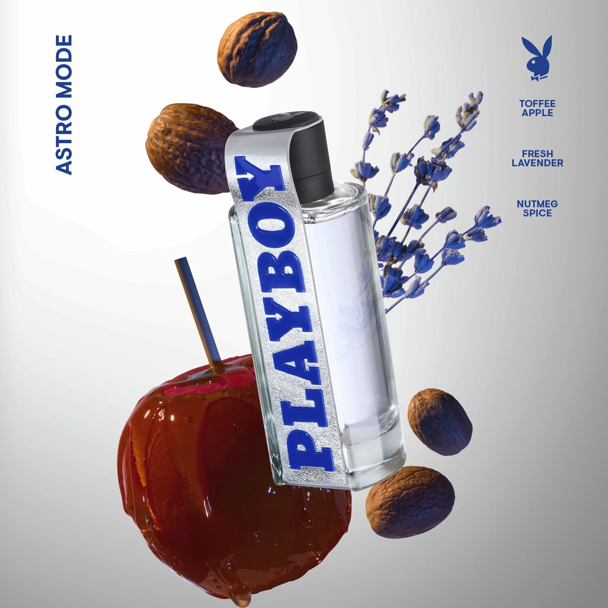 PLAYBOY None Media 4