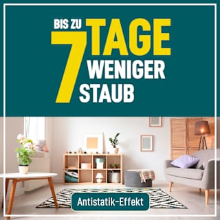 Möbelreiniger Staubstopper Poliboy