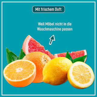Möbelreiniger Staubstopper Poliboy