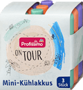 Mini-Kühlakkus on tour  Profissimo