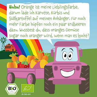Quetschie Süßkartoffel, Kürbis, Karotte & Erdbeere ab 6 Monaten pumpkin organics
