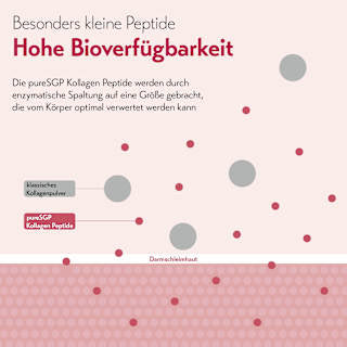 Kollagen Peptide Pulver pureSGP