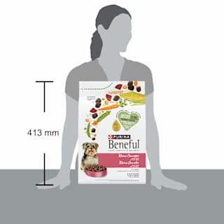 Trockenfutter Hunde mit Rind & Gartengemüse, kleine Genießer für kleine Rassen Purina Beneful
