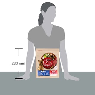 Trockenfutter Hund mit Rind & Reis, Mini, Adult PURINA ONE
