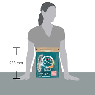 Trockenfutter Katze mit Lachs & Vollkorn Getreide, Adult PURINA ONE