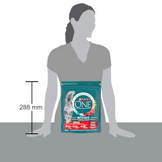 Trockenfutter Katze mit Rind & Weizen, Sterilcat, Adult PURINA ONE