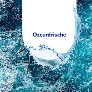 Badreiniger Ozeanfrische Sagrotan