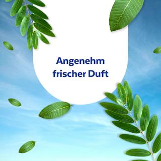 Desinfektionstücher Sagrotan