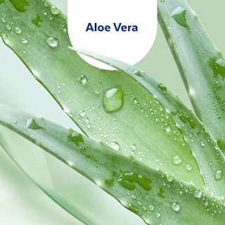 Handdesinfektionsgel Aloe Vera, Reisegröße Sagrotan
