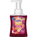 Schaumhandseife Berry Rebel  Sagrotan