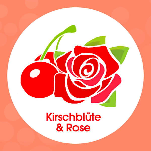 Schaumhandseife Kirschblüte & Rose  Sagrotan