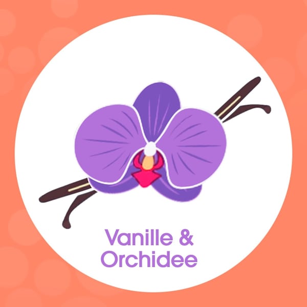 Schaumhandseife Vanille & Orchidee Sagrotan