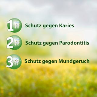 Zahnpasta F mit Fluorid Salviagalen
