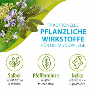 Zahnpasta ohne Fluorid Salviagalen