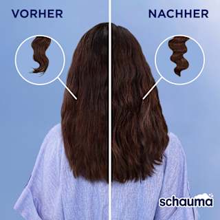 Shampoo 7 Kräuter schauma