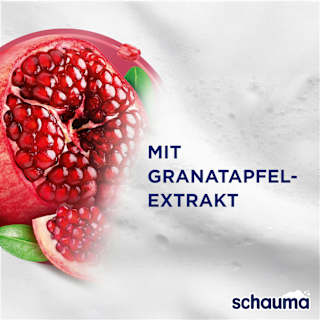 Shampoo Color Glanz schauma