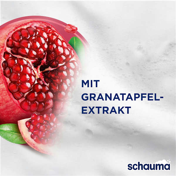 Shampoo Color Glanz schauma