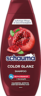 Shampoo Color Glanz schauma