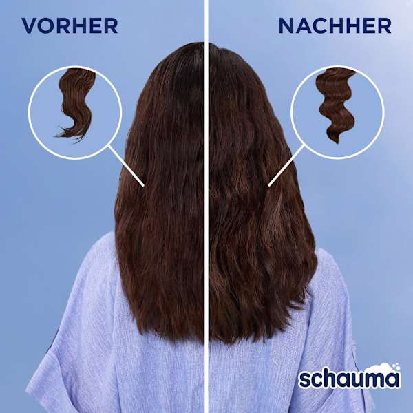 Shampoo Seidenkamm schauma