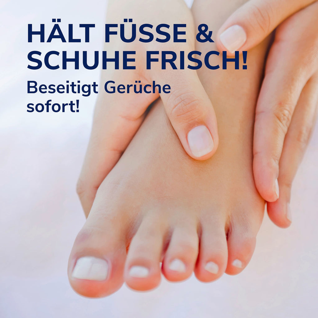 Scholl None Media 10