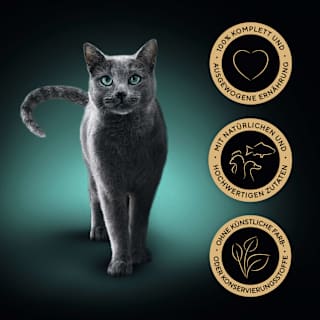 Nassfutter Katze feine Vielfalt in Sauce, Multipack (12x85 g) Sheba