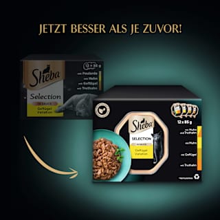 Nassfutter Katze Geflügel Variation in Sauce, Selection Multipack (12x85 g) Sheba