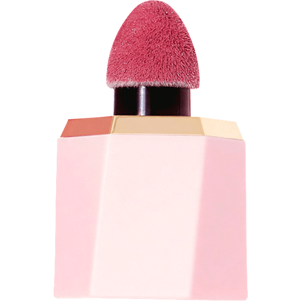 Blush Liquid Color Bloom On Point SHEGLAM