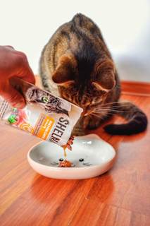 Nassfutter Katze Megapack (40x85 g) Shelma
