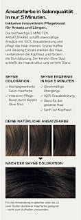 Ansatzset Root Fix 5 Dunkel- bis Mittelbraun SHYNE Professional