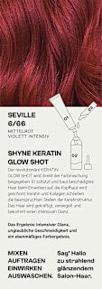 Haarfarbe 6/66 Seville Mittelrot Violett Intensiv SHYNE Professional