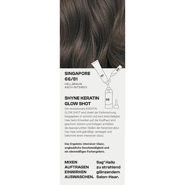 Haarfarbe 66/81 Singapore Hellbraun Asch-Intensiv SHYNE Professional