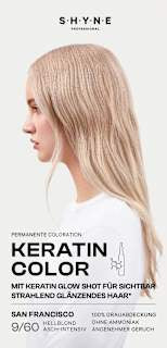 Haarfarbe 9/60 San Francisco Hellblond Asch-Intensiv SHYNE Professional