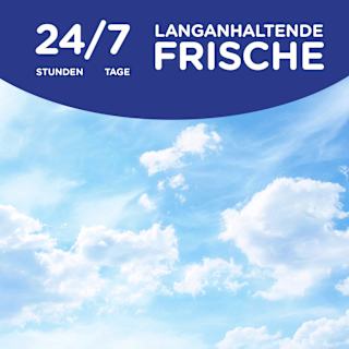 Weichspüler Windfrisch 45 WL Softlan