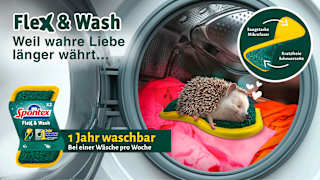 Schwamm Flex & Wash  Spontex